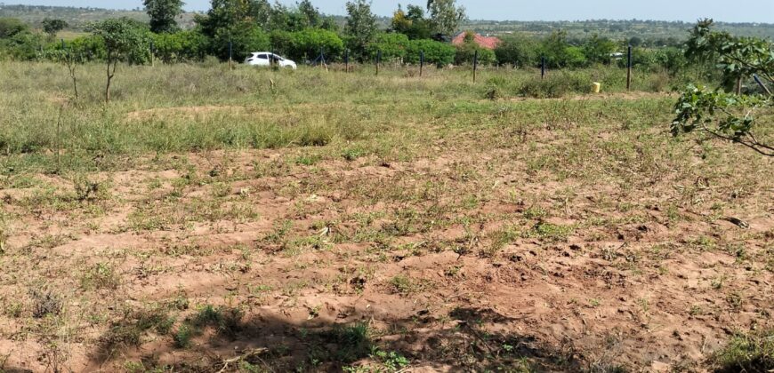 Prime 50×100 Plots (Neema Garden Matuu)
