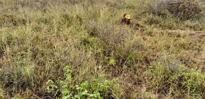 Prime 50×100 Plots (Neema Garden Matuu)