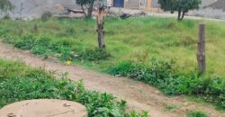 Prime Plots for Sale – (Ruiru Near Rainbow Resort)