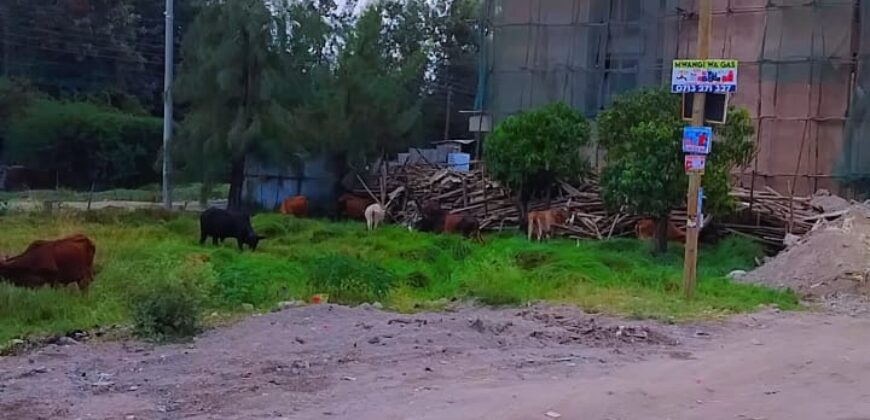 Prime Plots for Sale – (Ruiru Near Rainbow Resort)