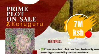 Prime Plots for Sale (Karuguru Eastern Bypass)